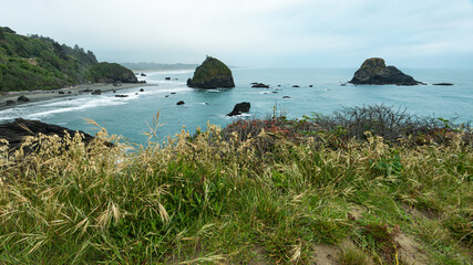 Obraz premium Luffenholtz Beach overlook - northern California