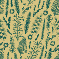 Seamless pattern Christmas tree hand drawn fir