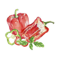 watercolor illustration vegetables. pepper, basil