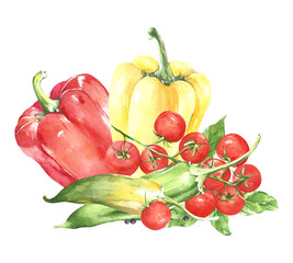 watercolor illustration vegetables. pepper, tomato, basil