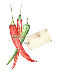 watercolor illustration hot pepper