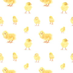 Fluffy yellow chickens watercolor spring seamless pattern