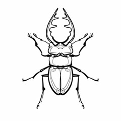 クワガタムシの線画