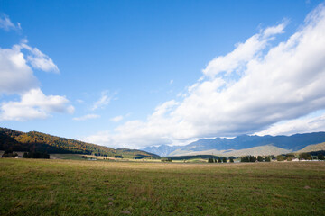 Cansiglio woodland autumn view. Nature landscape