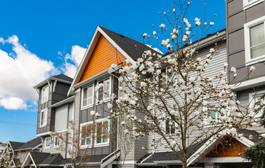 Neighborhood modern houses with spring flowers in BC, Canada. Canadian modern residential architecture.