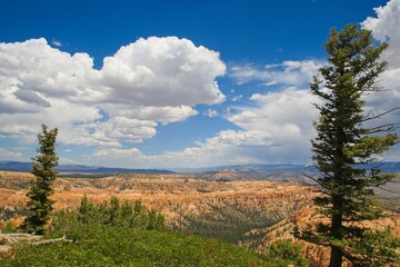 Fototapeta premium Bryce Canyon National Park, Utah. Giant natural amphitheaters, hoodoos, delicate and colorful pinnacles, red, orange, and white colors of rocks