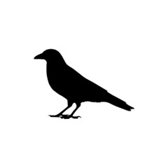 The Best Crow Silhouette Image Vector For Education Design