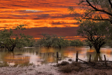 Flooded Darling River, far western New South Wales Australia