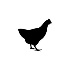 The Best Hen Silhouette Image on White Background