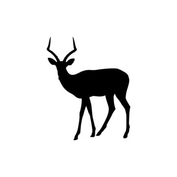 The Best Deer Silhouette Images
