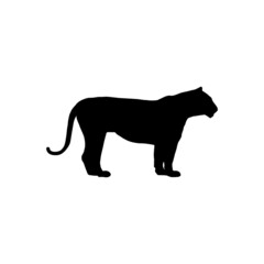 The Best tiger silhouette image on white background. It is suitable as a website and application icon that describes wild animals, especially tigers.