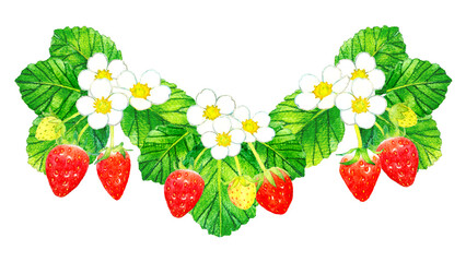 イチゴの果実・花・葉っぱのイラスト　フルーツの手描き水彩イラスト素材