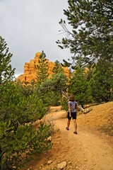 Red Canyon, Utah with its stunning hoodoo formations, red cliffs, pink soil, and ponderosa pines near Bryce Canyon National Park