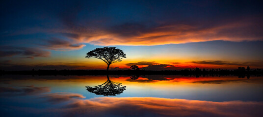 Panorama silhouette tree in africa with sunset.Tree silhouetted against a setting sun reflection on...
