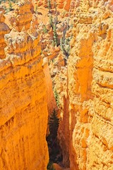 Bryce Canyon National Park, Utah. Giant natural amphitheaters, hoodoos, delicate and colorful pinnacles, red, orange, and white colors of rocks