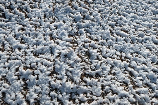 snow on grass texture