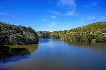 青空バックに見る秋の公園情景＠淡路島、兵庫