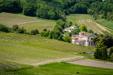 Cognac vineyard, village and Bouteville Church and castle, vintage great champagne - obrazy, fototapety, plakaty