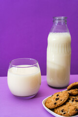 Glass bottle and large glass with milk and some sweet chocolate chip cookies in a purple or violet environment. Copy space.