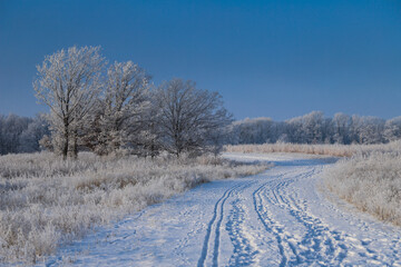 Fototapeta na wymiar Snowy path in winter