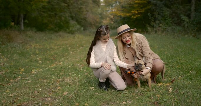 Joyful mother and daughter playing with dog in a par