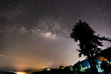 Silhouette of tree and the galaxy milky way rising in Sungai Palas, Cameron Highland Malaysia. Image contains noise and grain due to high ISO.