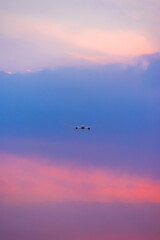 Air transportation system used to transport people and goods by air. Fresh blue sky, colorful sky wide airplane, pink and pastel color of sky, sunlight and sunset view.