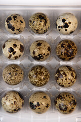 Fresh Quail eggs on background, Food and health concept