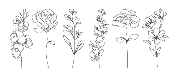 Line Drawing Flowers Set Black Sketch Isolaned on White Background. Botanical Line Art of Wildflower Floral Drawing for Minimalist Wall Decor, Wall Art, Prints, Invitations. Vector EPS 10