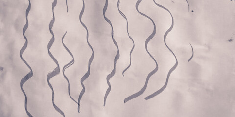 White Lines. Line Pattern. Vintage Lines.