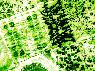 Modern Shibori Prints. Website Background Paint.