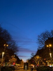 christmas tree at night
