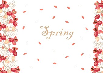 blooming poppies in spring