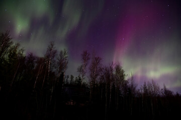 Aurora borealis schijnt helder op een donkere nacht in Alaska.