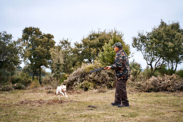 Male hunter in camouflage outerwear and cap carrying a gun walking in the field with a white dog 