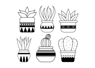 Succulent icon set design template vector isolated