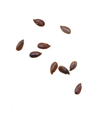 Sesame seeds isolated on white background.