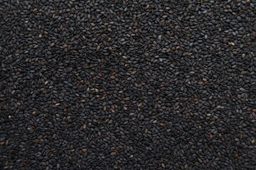 Background image of black sesame seeds laying on a table to inspect bite marks caused by pests destroying seeds being prepared for planting. Organic black sesame seeds destroyed by insect pests