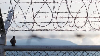 barbed wire fence was installed above the two-story wall to prevent the escape of prisoners looking...