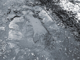 Frozen puddles on a dirt road.