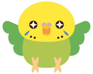 セキセイインコ　期待　ワクワク