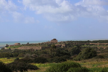 Fototapeta premium Selinunte, Acropoli con tempio c