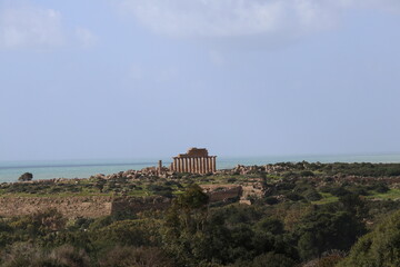 Fototapeta premium Selinunte, Acropoli con tempio c