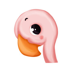 Cute baby animal portrait - flamingo. Digital illustration. Animal isolated on white background background.