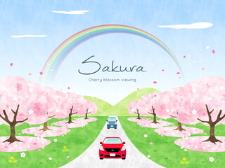 桜並木を車でドライブするイラスト