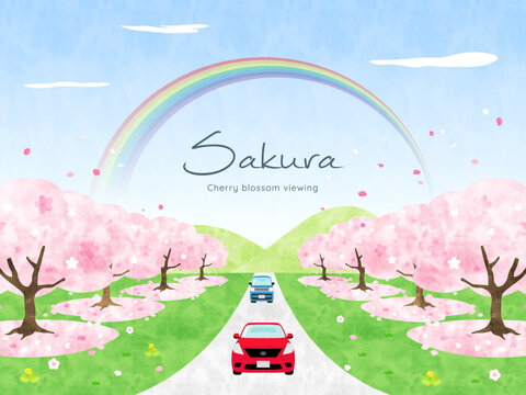 桜並木を車でドライブするイラスト Stock Vector Adobe Stock