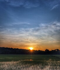 sunrise over the paddy field