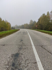 beautiful road through the autumn forest
