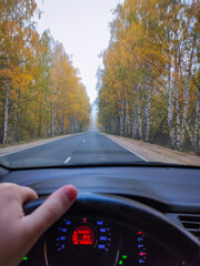 view from the car window in the autumn forest