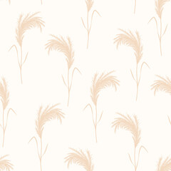Pampas grass seamless pattern. Vector cortaderia in boho style. Autumn background. Trendy design for wedding, postcards, textile, wallpaper, fabric, wrapping paper.
